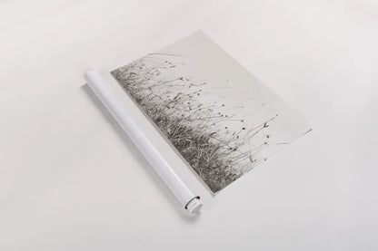 Sea Breeze I by Deborah Revell. shown as a rolled paper print. Available as archival giclee rolled canvas, fine art paper, or poster print. SKU 102084i.