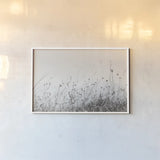 Sea Breeze I by Deborah Revell. shown as a paper print in a white frame. Available as a archival giclee rolled canvas, fine art paper, or poster print. SKU 102084i.