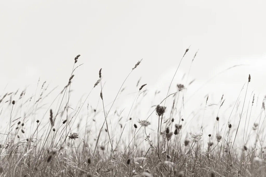 Sea Breeze II by Deborah Revell. SKU 102085i. Archival Giclee Fine art print for wall decor.