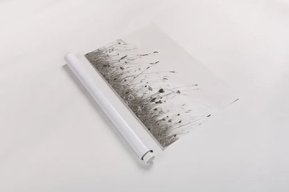 Sea Breeze II by Deborah Revell. shown as a rolled paper print. Available as archival giclee rolled canvas, fine art paper, or poster print. SKU 102085i.