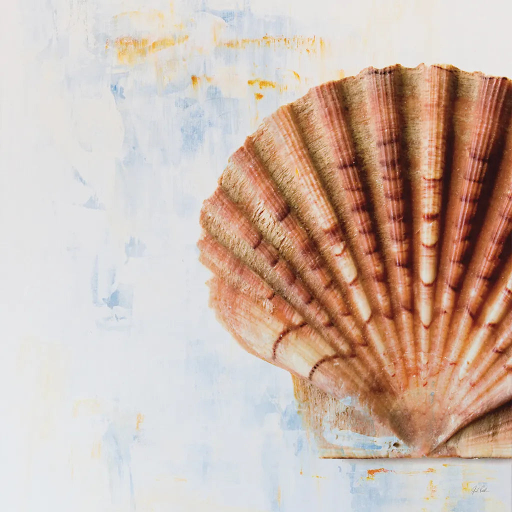 Seashell by Deborah Revell. SKU 91179a. Archival Giclee Fine art print for wall decor.