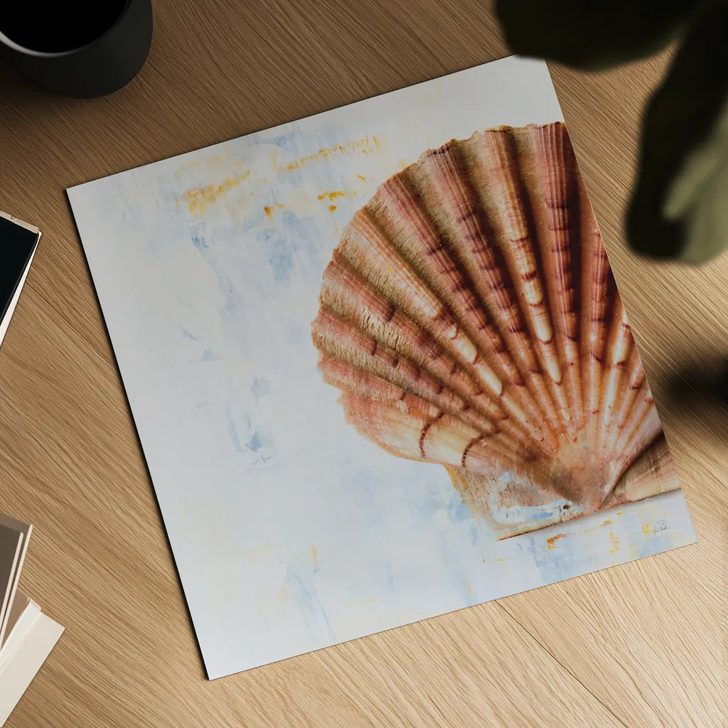 Seashell by Deborah Revell. Shown as a detailed flat fine art print, highlighting archival giclee quality. Available as an archival giclee rolled canvas, fine art paper, or poster print. SKU 91179a.