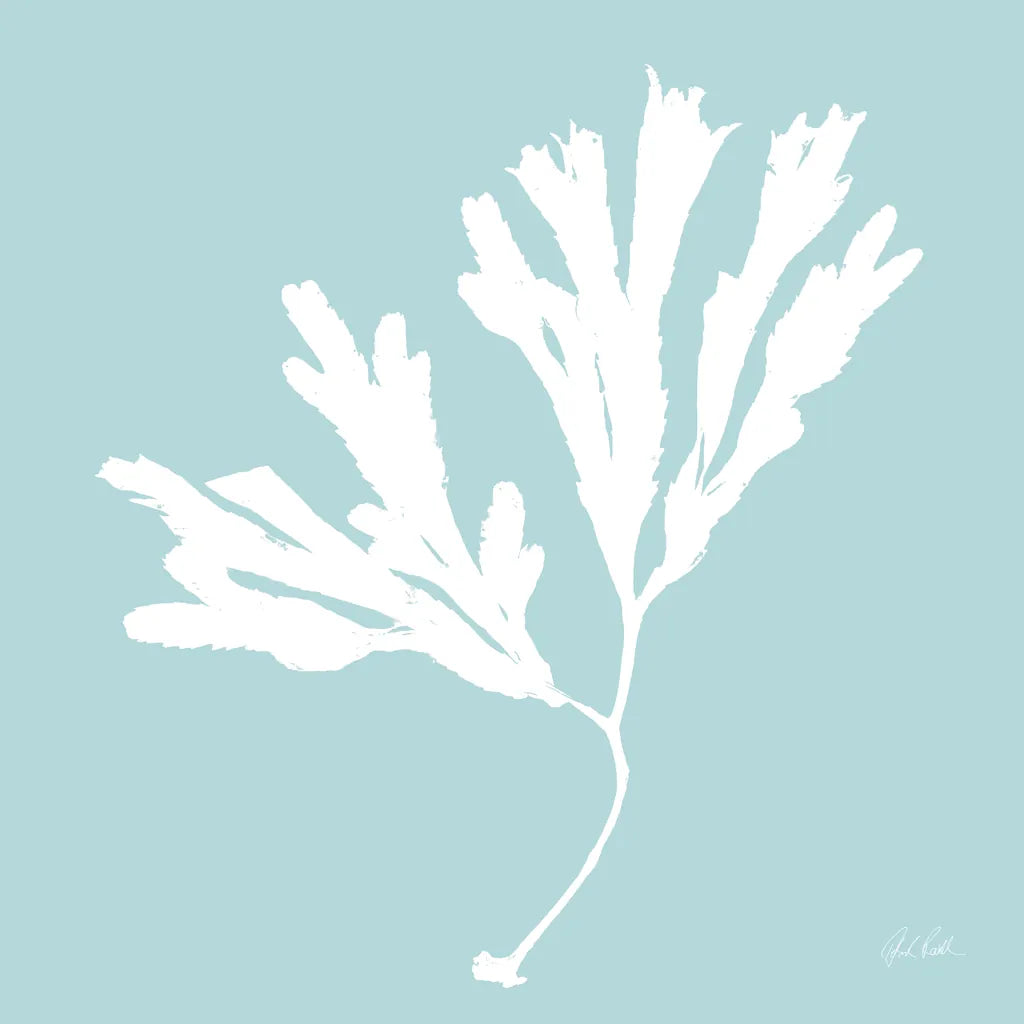 Seaweed I by Deborah Revell. SKU 91124a. Archival Giclee Fine art print for wall decor.