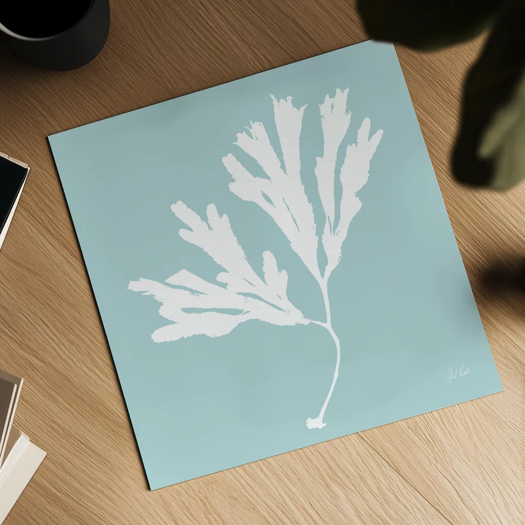 Seaweed I by Deborah Revell. Shown as a detailed flat fine art print, highlighting archival giclee quality. Available as an archival giclee rolled canvas, fine art paper, or poster print. SKU 91124a.
