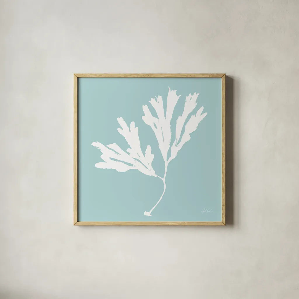 Seaweed I by Deborah Revell. Shown in a natural wood glass frame for a timeless modern aesthetic. Available as an archival giclee rolled canvas, fine art paper, or poster print. SKU 91124a.