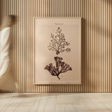 Seaweed I by Deborah Revell. shown as over sized large wall art. Available as an archival giclee rolled canvas, fine art paper, or poster print. SKU 95767h.