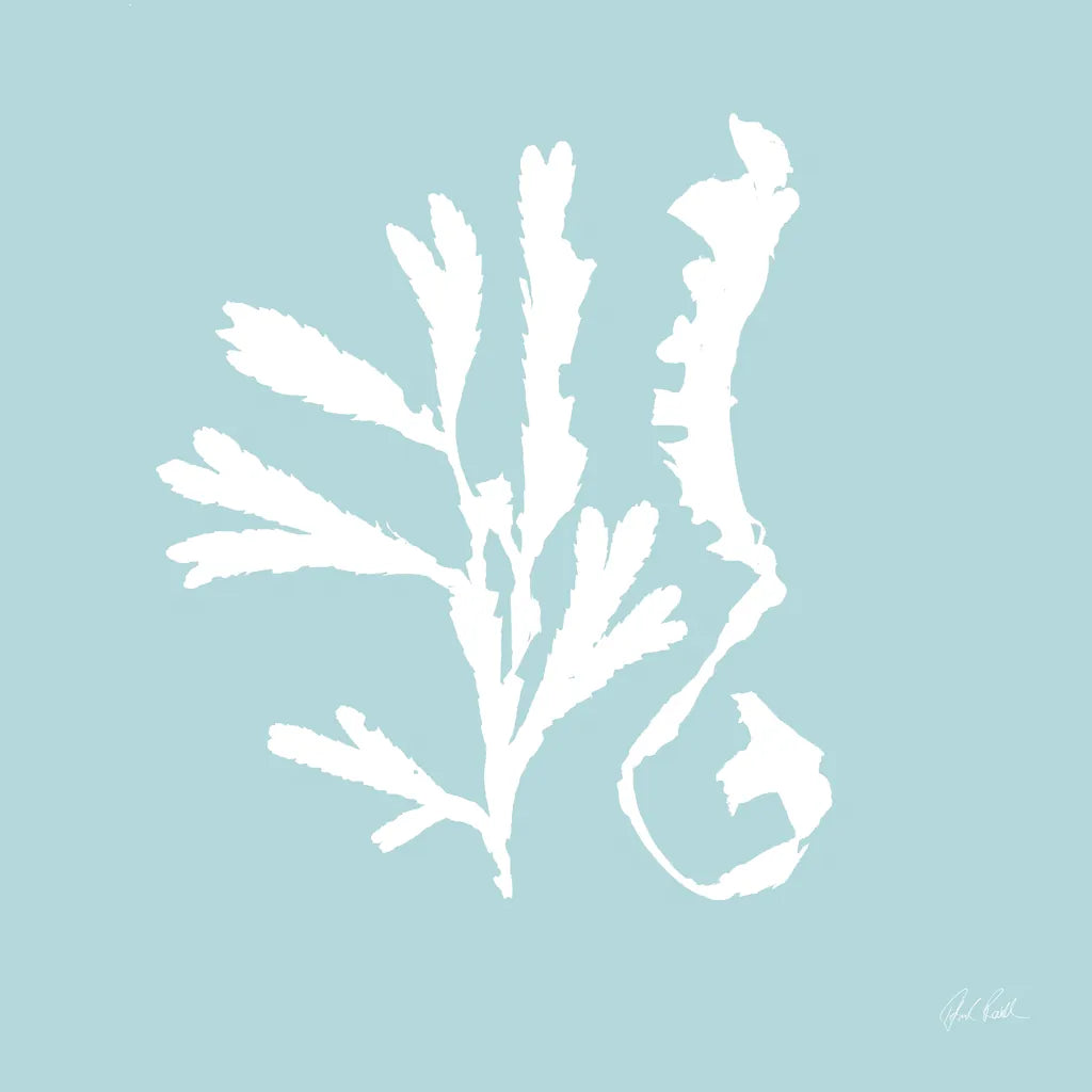 Seaweed II by Deborah Revell. SKU 91125a. Archival Giclee Fine art print for wall decor.