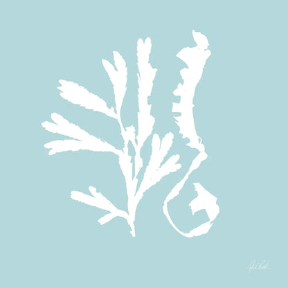 Seaweed II by Deborah Revell. SKU 91125a. Archival Giclee Fine art print for wall decor.