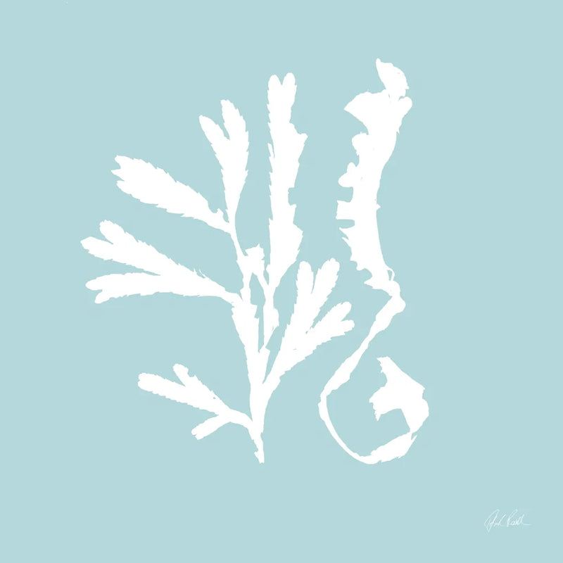 Seaweed II by Deborah Revell. SKU 91125a. Archival Giclee Fine art print for wall decor.