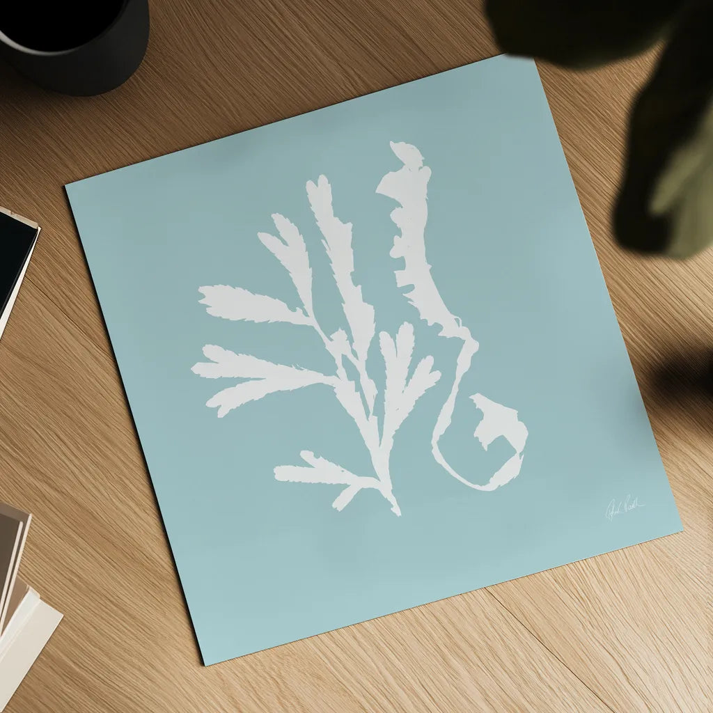 Seaweed II by Deborah Revell. Shown as a detailed flat fine art print, highlighting archival giclee quality. Available as an archival giclee rolled canvas, fine art paper, or poster print. SKU 91125a.