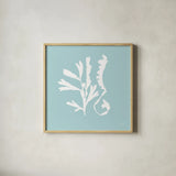 Seaweed II by Deborah Revell. Shown in a natural wood glass frame for a timeless modern aesthetic. Available as an archival giclee rolled canvas, fine art paper, or poster print. SKU 91125a.