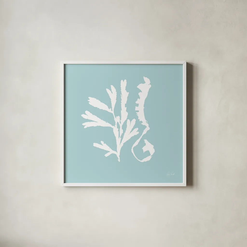 Seaweed II by Deborah Revell. Shown in a crisp white glass frame for a clean and minimalist style. Available as an archival giclee rolled canvas, fine art paper, or poster print. SKU 91125a.