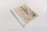Seaweed II by Deborah Revell. shown as a rolled paper print. Available as archival giclee rolled canvas, fine art paper, or poster print. SKU 95768h.