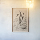 Seaweed II by Deborah Revell. shown as a paper print in a white frame. Available as a archival giclee rolled canvas, fine art paper, or poster print. SKU 95768h.
