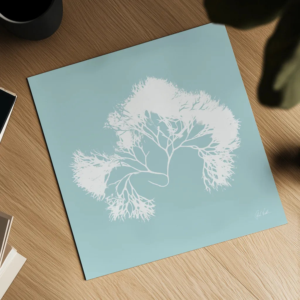 Seaweed III by Deborah Revell. Shown as a detailed flat fine art print, highlighting archival giclee quality. Available as an archival giclee rolled canvas, fine art paper, or poster print. SKU 91126a.