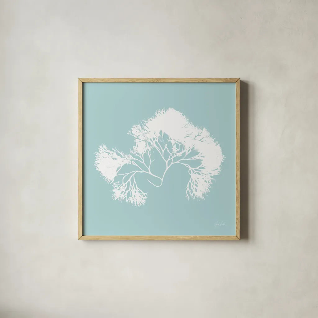 Seaweed III by Deborah Revell. Shown in a natural wood glass frame for a timeless modern aesthetic. Available as an archival giclee rolled canvas, fine art paper, or poster print. SKU 91126a.