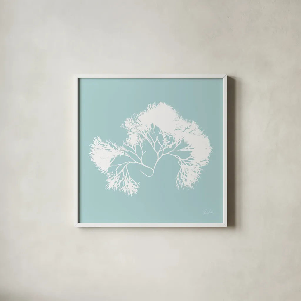 Seaweed III by Deborah Revell. Shown in a crisp white glass frame for a clean and minimalist style. Available as an archival giclee rolled canvas, fine art paper, or poster print. SKU 91126a.
