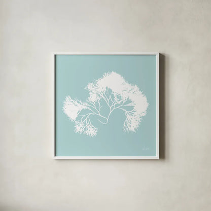 Seaweed III by Deborah Revell. Shown in a crisp white glass frame for a clean and minimalist style. Available as an archival giclee rolled canvas, fine art paper, or poster print. SKU 91126a.