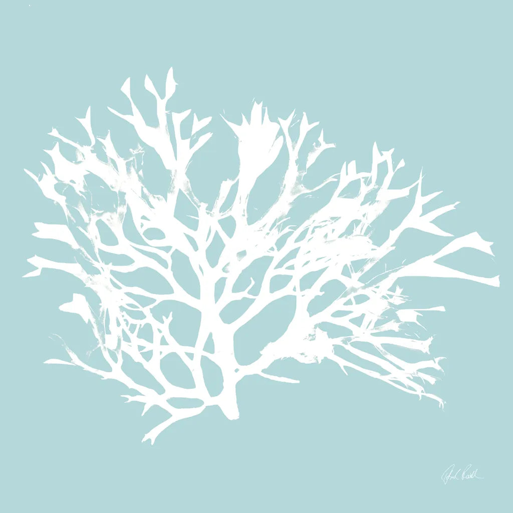 Seaweed IV by Deborah Revell. SKU 91127a. Archival Giclee Fine art print for wall decor.