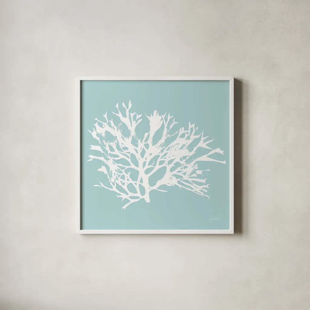 Seaweed IV by Deborah Revell. Shown in a crisp white glass frame for a clean and minimalist style. Available as an archival giclee rolled canvas, fine art paper, or poster print. SKU 91127a.