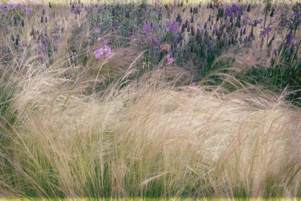 Secret Garden I by Deborah Revell. SKU 94364i. Archival Giclee Fine art print for wall decor.