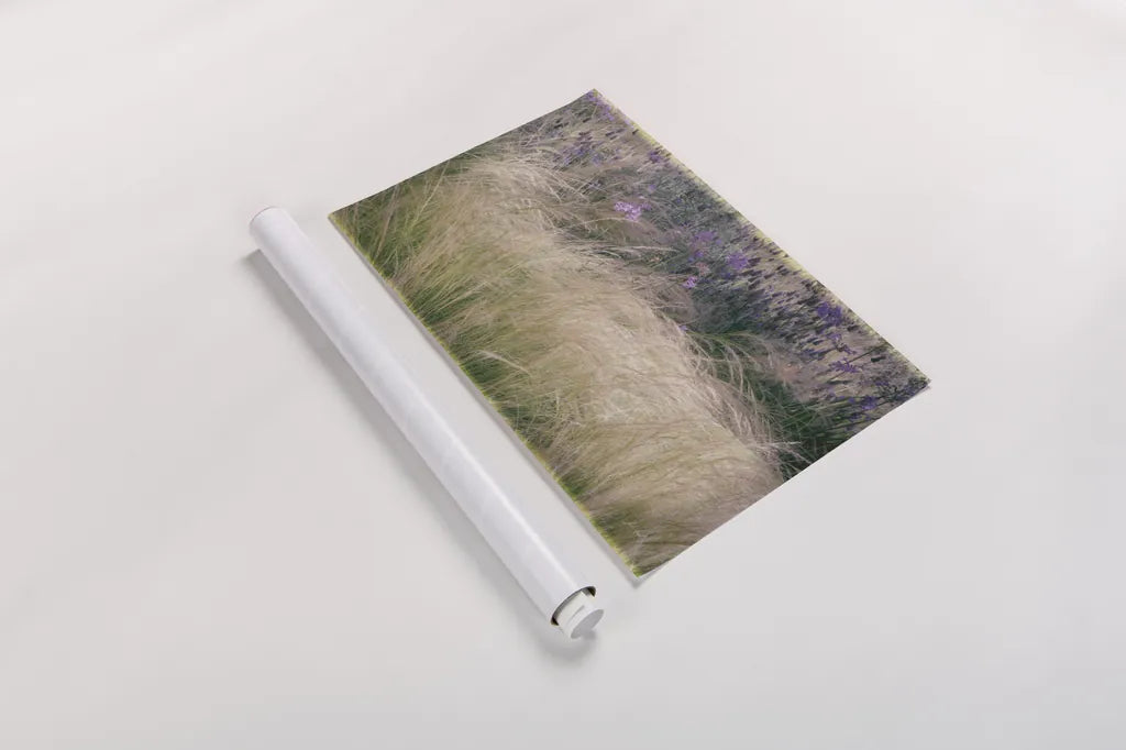 Secret Garden I by Deborah Revell. shown as a rolled paper print. Available as archival giclee rolled canvas, fine art paper, or poster print. SKU 94364i.