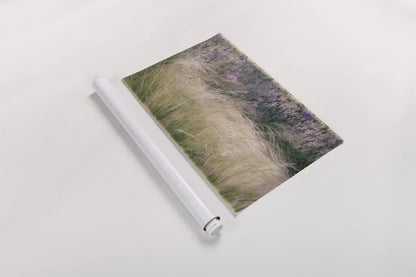 Secret Garden I by Deborah Revell. shown as a rolled paper print. Available as archival giclee rolled canvas, fine art paper, or poster print. SKU 94364i.