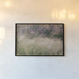 Secret Garden I by Deborah Revell. shown as a paper print in a black flame. Available as a archival giclee rolled canvas, fine art paper, or poster print. SKU 94364i.