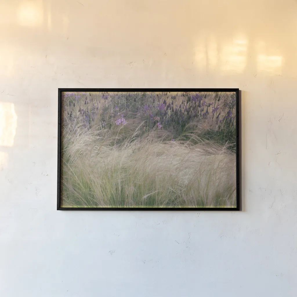 Secret Garden I by Deborah Revell. shown as a paper print in a black flame. Available as a archival giclee rolled canvas, fine art paper, or poster print. SKU 94364i.