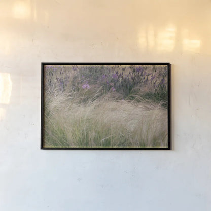 Secret Garden I by Deborah Revell. shown as a paper print in a black flame. Available as a archival giclee rolled canvas, fine art paper, or poster print. SKU 94364i.