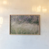Secret Garden I by Deborah Revell. shown as a paper print in a natural frame. Available as a archival giclee rolled canvas, fine art paper, or poster print. SKU 94364i.