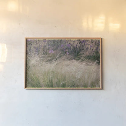 Secret Garden I by Deborah Revell. shown as a paper print in a natural frame. Available as a archival giclee rolled canvas, fine art paper, or poster print. SKU 94364i.