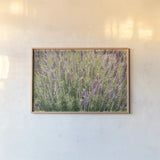 Secret Garden II by Deborah Revell. shown as a paper print in a natural frame. Available as a archival giclee rolled canvas, fine art paper, or poster print. SKU 94365i.