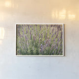 Secret Garden II by Deborah Revell. shown as a paper print in a white frame. Available as a archival giclee rolled canvas, fine art paper, or poster print. SKU 94365i.