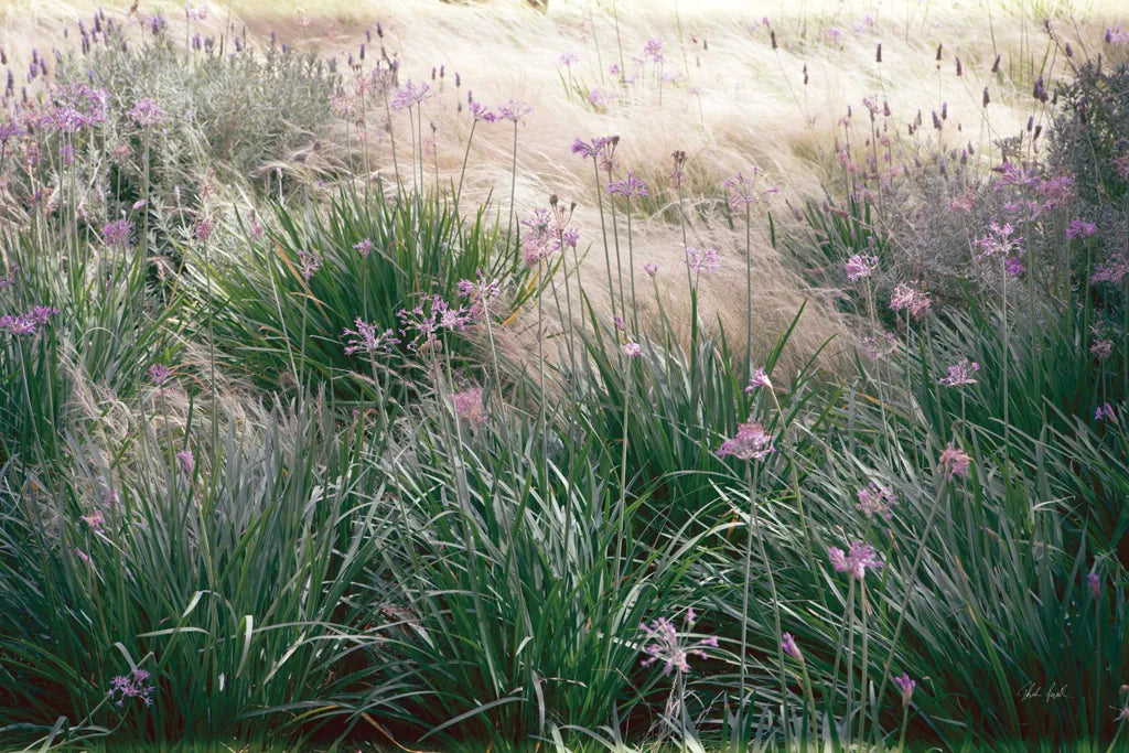 Secret Garden III by Deborah Revell. SKU 94366i. Archival Giclee Fine art print for wall decor.