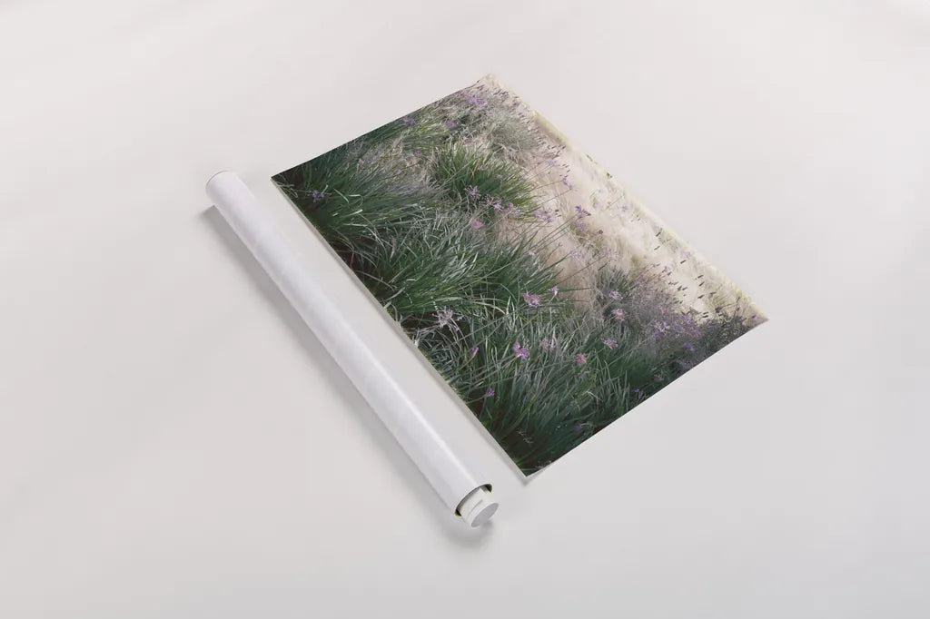 Secret Garden III by Deborah Revell. shown as a rolled paper print. Available as archival giclee rolled canvas, fine art paper, or poster print. SKU 94366i.