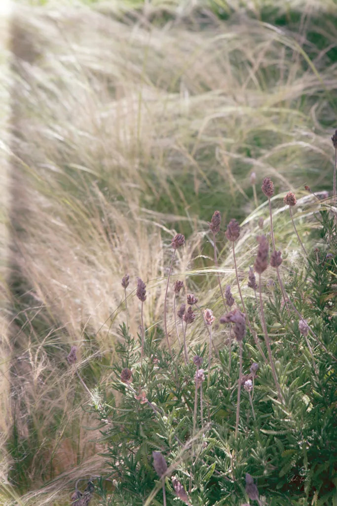 Secret Garden IV by Deborah Revell. SKU 94367h. Archival Giclee Fine art print for wall decor.