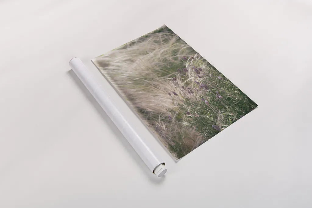 Secret Garden IV by Deborah Revell. shown as a rolled paper print. Available as archival giclee rolled canvas, fine art paper, or poster print. SKU 94367h.