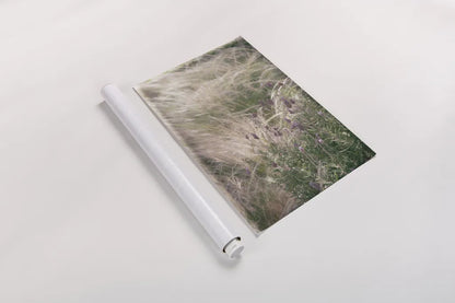 Secret Garden IV by Deborah Revell. shown as a rolled paper print. Available as archival giclee rolled canvas, fine art paper, or poster print. SKU 94367h.