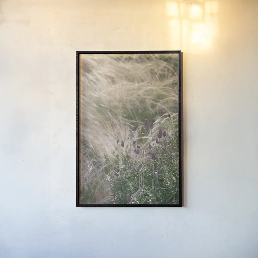 Secret Garden IV by Deborah Revell. shown as a paper print in a black flame. Available as a archival giclee rolled canvas, fine art paper, or poster print. SKU 94367h.