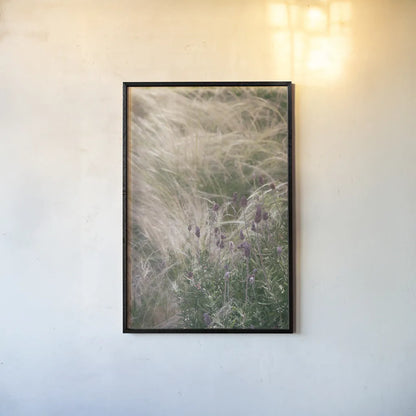 Secret Garden IV by Deborah Revell. shown as a paper print in a black flame. Available as a archival giclee rolled canvas, fine art paper, or poster print. SKU 94367h.