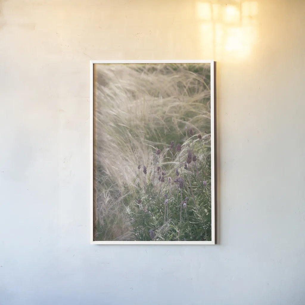 Secret Garden IV by Deborah Revell. shown as a paper print in a white frame. Available as a archival giclee rolled canvas, fine art paper, or poster print. SKU 94367h.