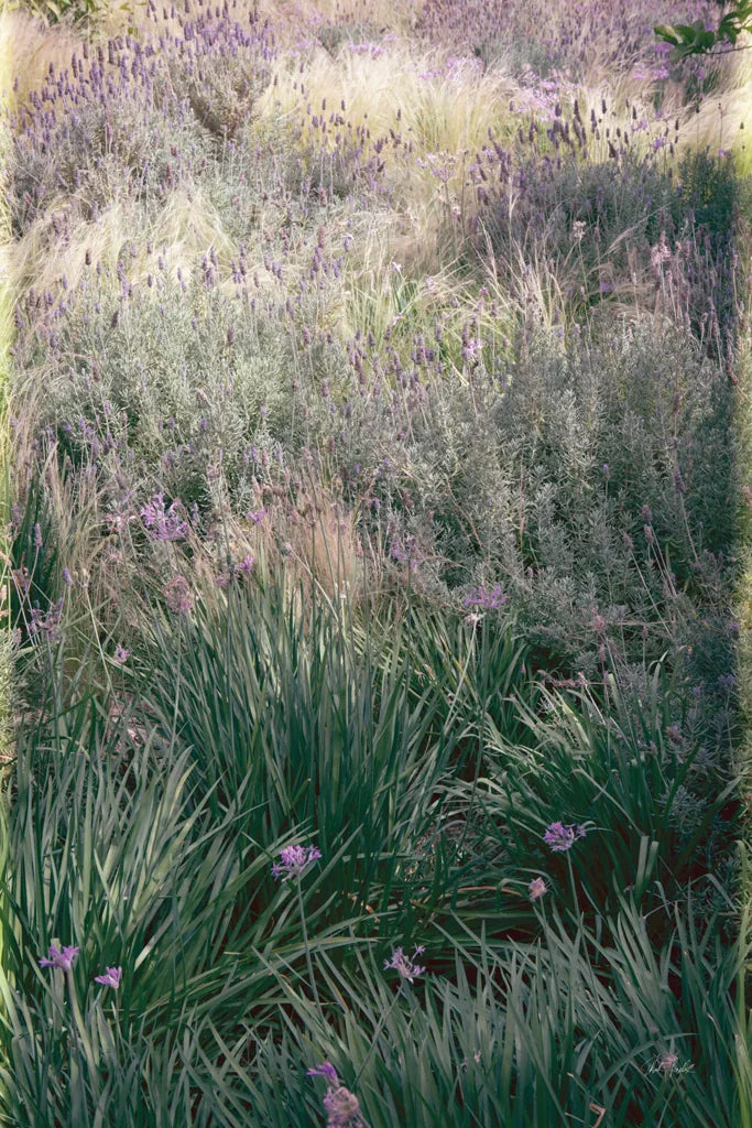 Secret Garden IX by Deborah Revell. SKU 94372h. Archival Giclee Fine art print for wall decor.