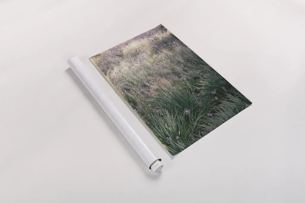 Secret Garden IX by Deborah Revell. shown as a rolled paper print. Available as archival giclee rolled canvas, fine art paper, or poster print. SKU 94372h.