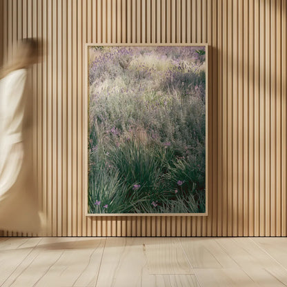 Secret Garden IX by Deborah Revell. shown as over sized large wall art. Available as an archival giclee rolled canvas, fine art paper, or poster print. SKU 94372h.