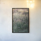 Secret Garden IX by Deborah Revell. shown as a paper print in a black flame. Available as a archival giclee rolled canvas, fine art paper, or poster print. SKU 94372h.
