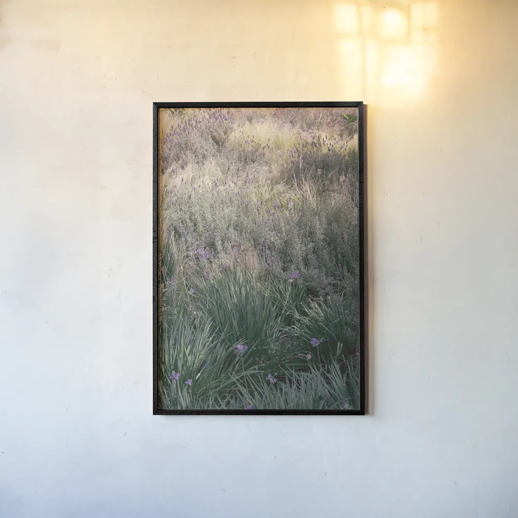 Secret Garden IX by Deborah Revell. shown as a paper print in a black flame. Available as a archival giclee rolled canvas, fine art paper, or poster print. SKU 94372h.
