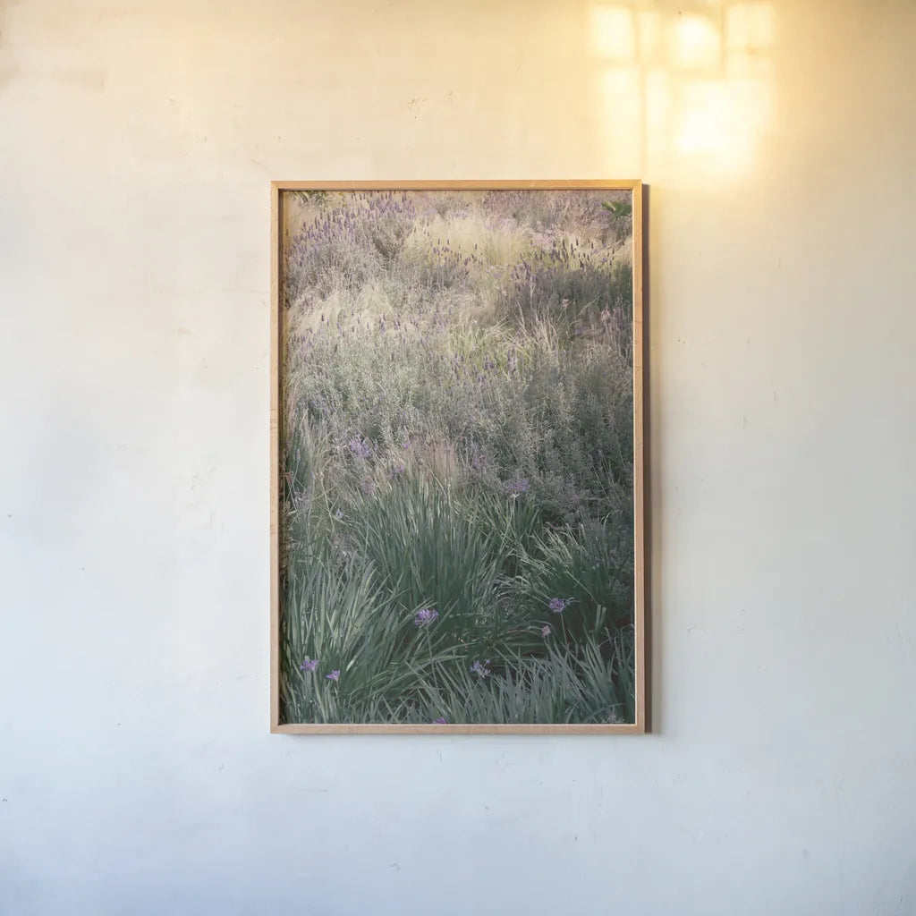 Secret Garden IX by Deborah Revell. shown as a paper print in a natural frame. Available as a archival giclee rolled canvas, fine art paper, or poster print. SKU 94372h.