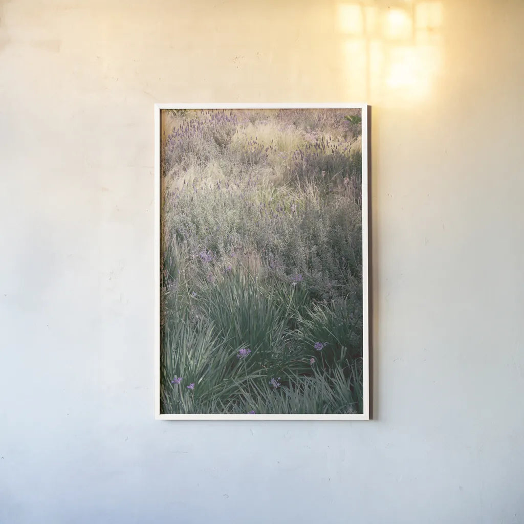 Secret Garden IX by Deborah Revell. shown as a paper print in a white frame. Available as a archival giclee rolled canvas, fine art paper, or poster print. SKU 94372h.