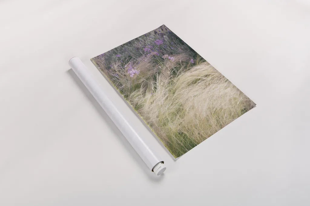 Secret Garden V by Deborah Revell. shown as a rolled paper print. Available as archival giclee rolled canvas, fine art paper, or poster print. SKU 94368h.